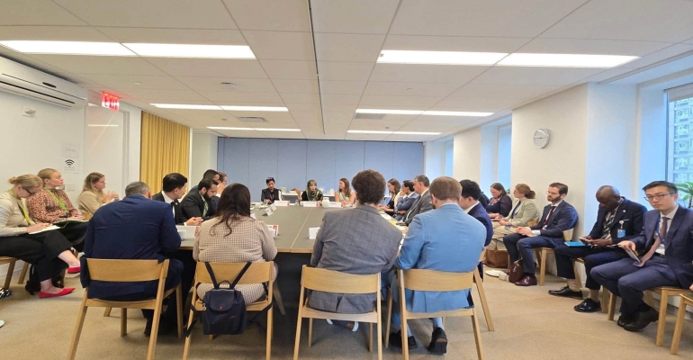Tawakkol Karman to Security Council: Restoring the Yemeni State Is the Sole Path to Peace